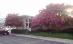 10801 Garland Rd. exterior