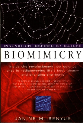 biomimicry.jpg - 54767 Bytes
