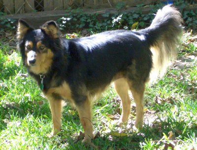 chewy1.jpg - 43911 Bytes